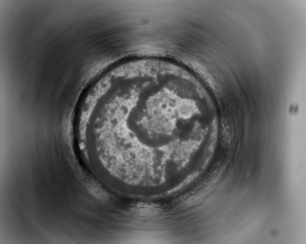 X0000103950487200810101441