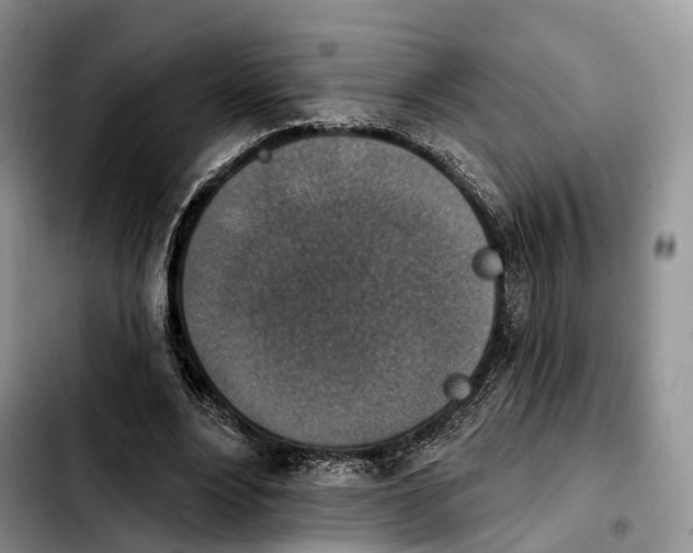 X0000103950488200810101441