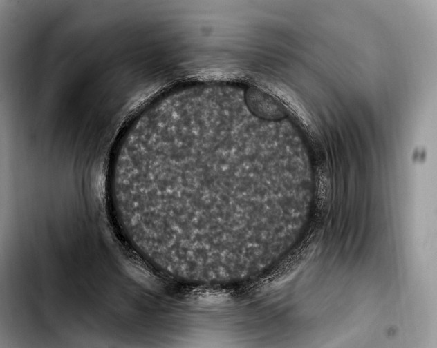 X0000103950491200810101441