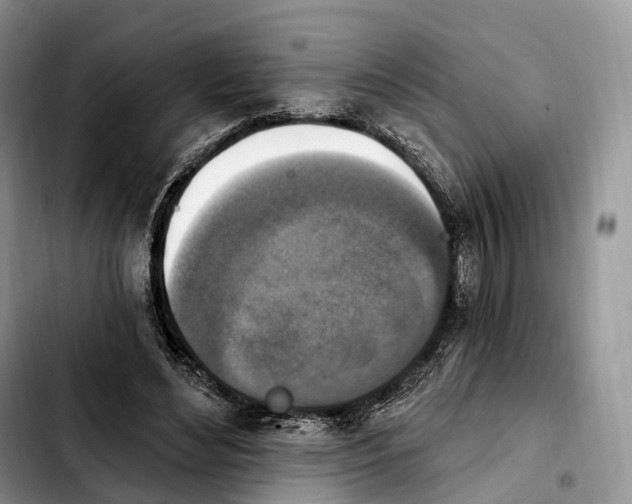 X0000103950492200810101441