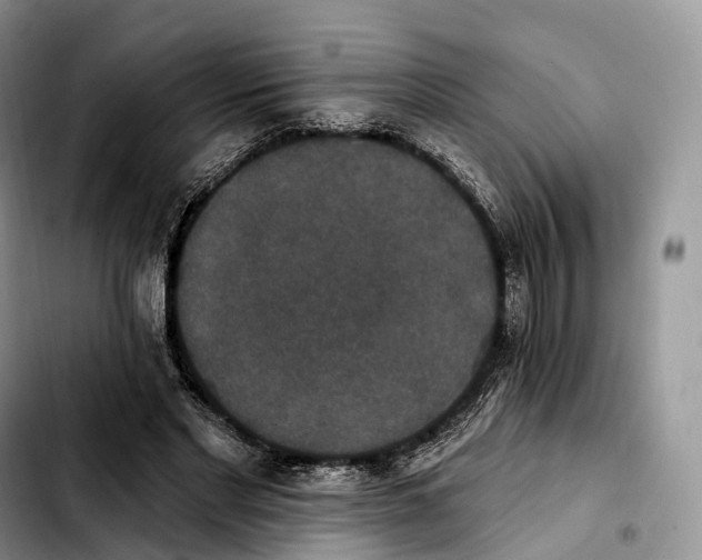 X0000103950493200810101441