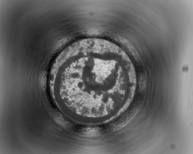 X0000103950495200810101441