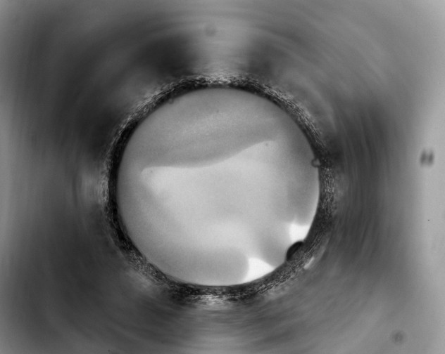 X0000103950496200810101441