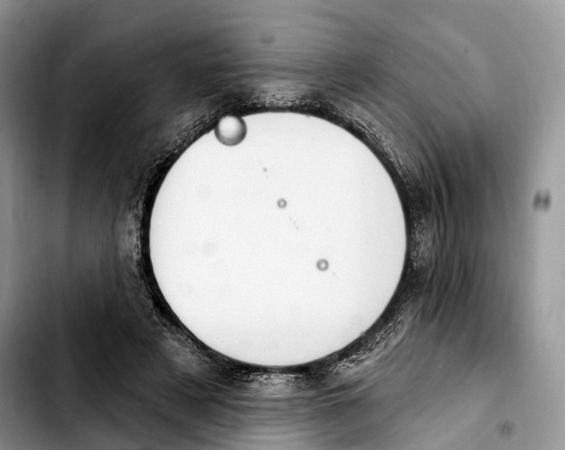 X0000103950497200810101441