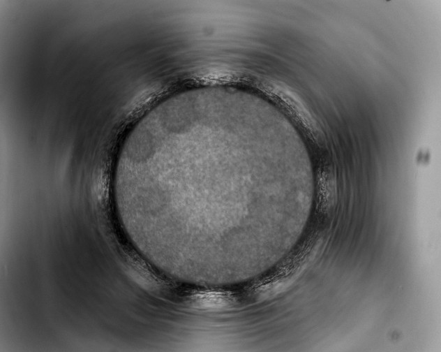 X0000103950499200810101441