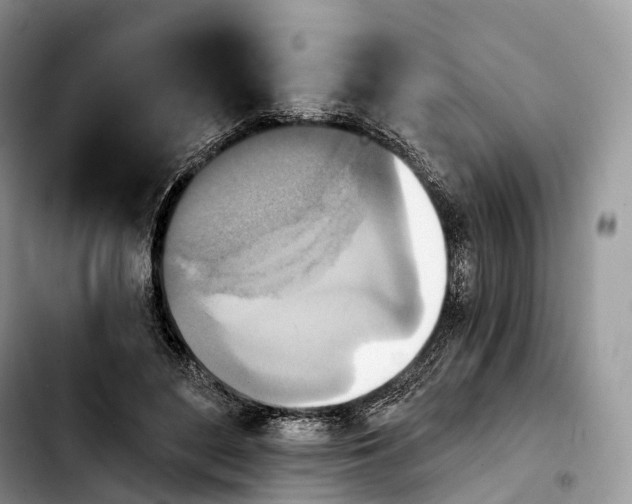 X0000103950500200810101441