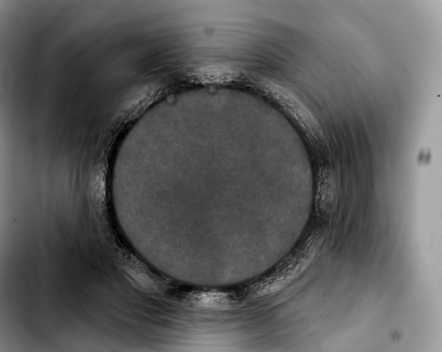 X0000103950501200810101441