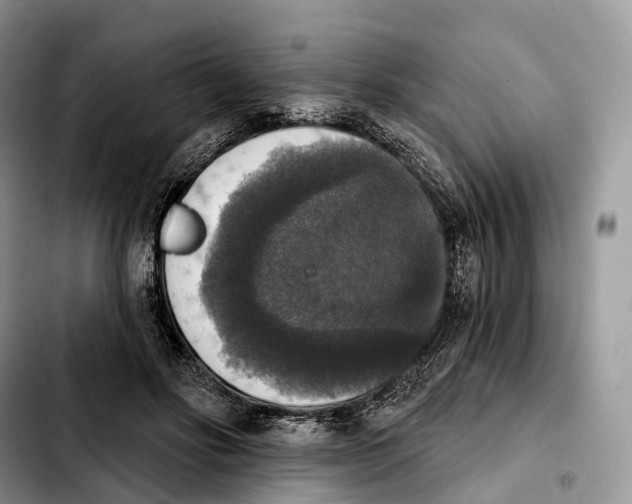 X0000103950502200810101441