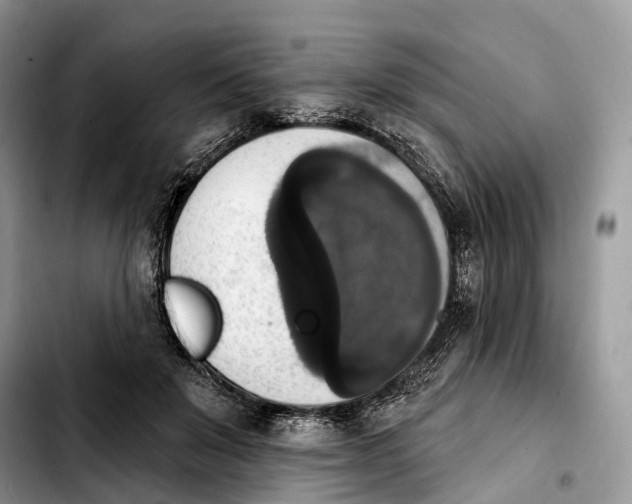 X0000103950503200810101441