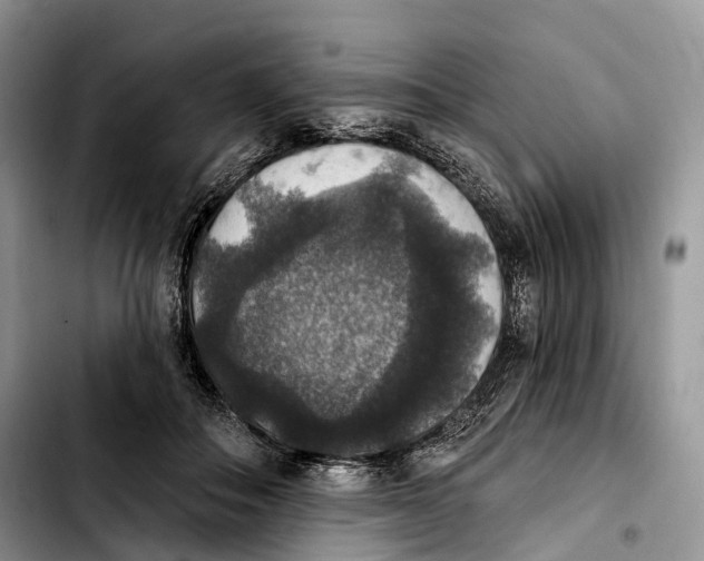 X0000103950506200810101441