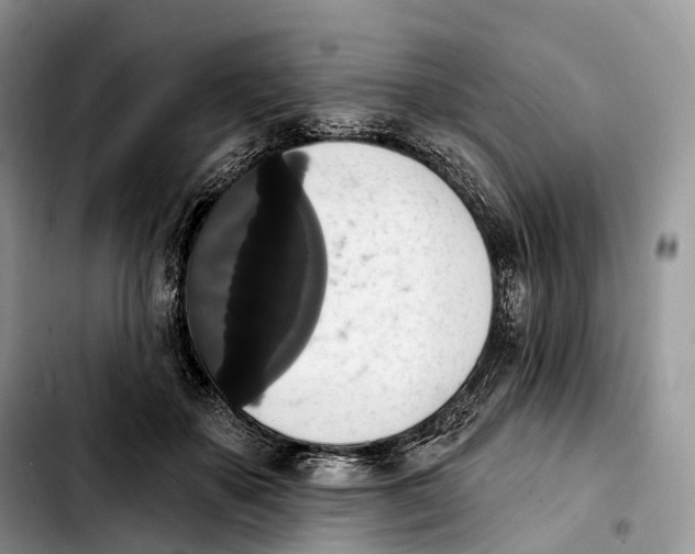 X0000103950507200810101441