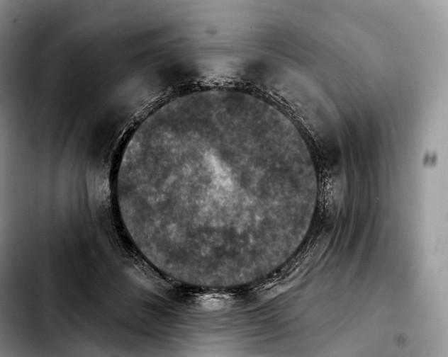 X0000103950508200810101441