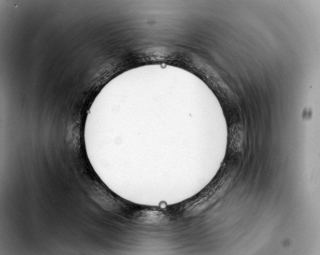 X0000103950509200810101441