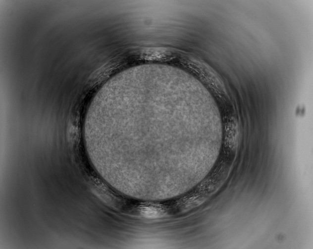 X0000103950510200810101441