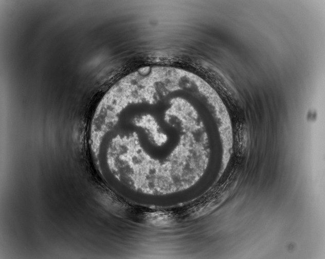 X0000103950511200810101441