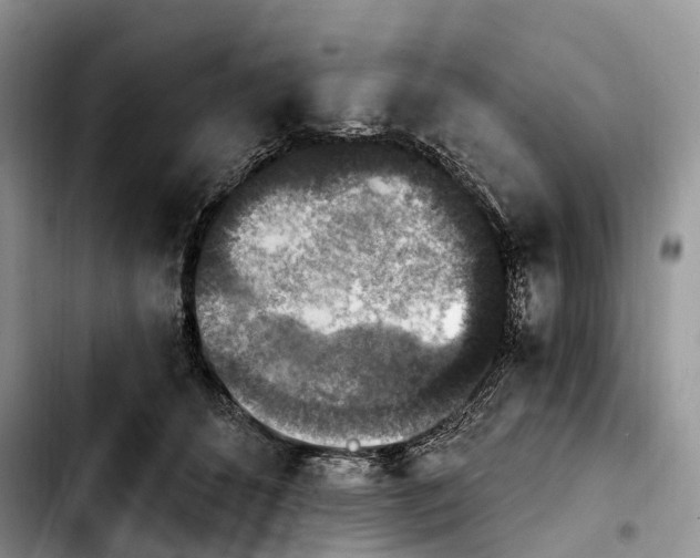 X0000103950512200810101441