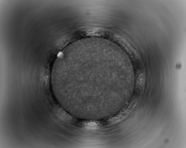 X0000103950513200810101441