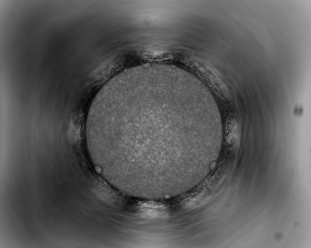 X0000103950515200810101441