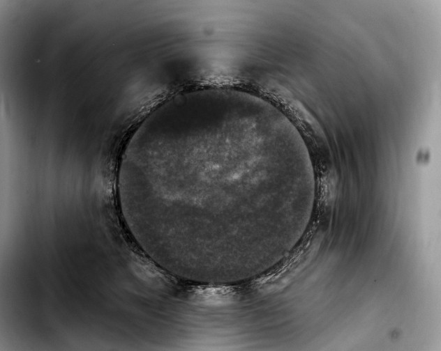 X0000103950517200810101441