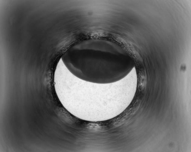 X0000103950519200810101441