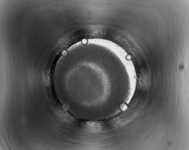 X0000103950520200810101441