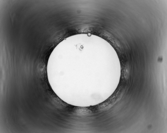 X0000103950521200810101441