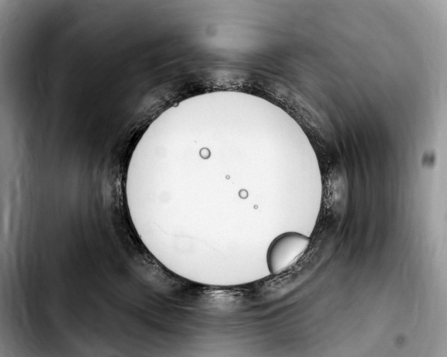 X0000103950522200810101441