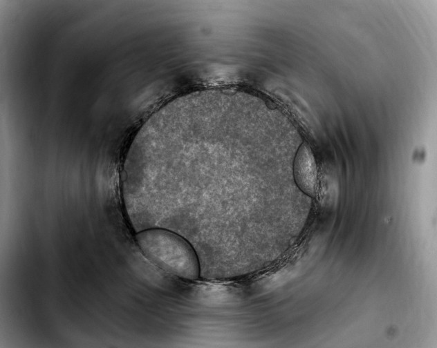 X0000103950523200810101441