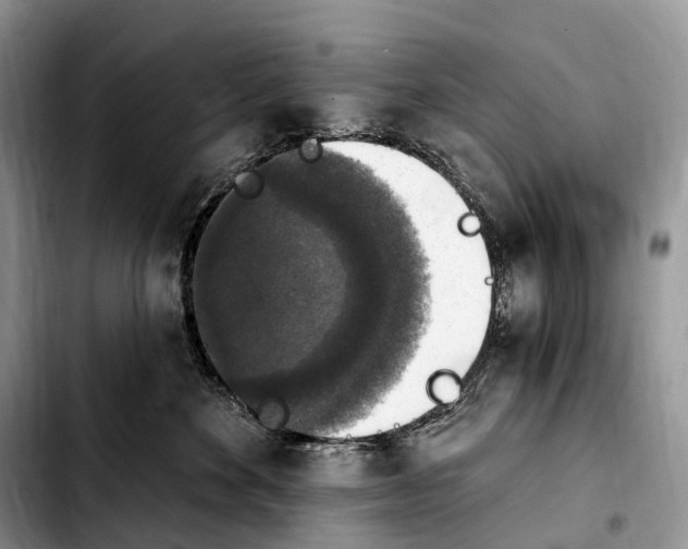 X0000103950524200810101441