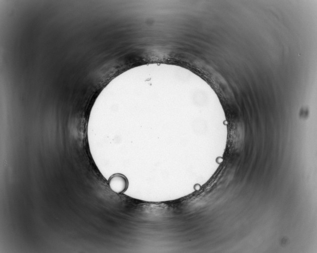 X0000103950525200810101441