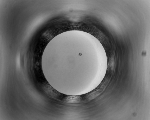 X0000103950526200810101441