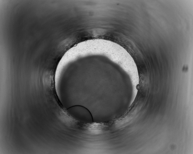 X0000103950527200810101441