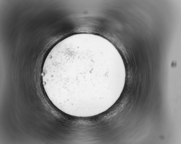 X0000103950529200810101440