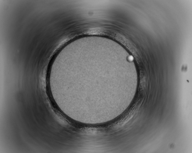 X0000103950530200810101440