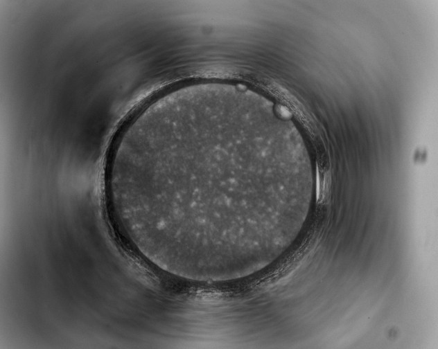 X0000103950531200810101440