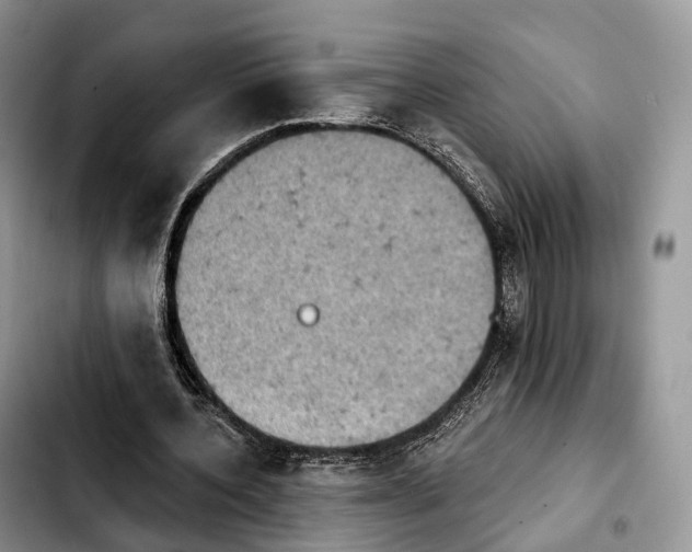 X0000103950532200810101440