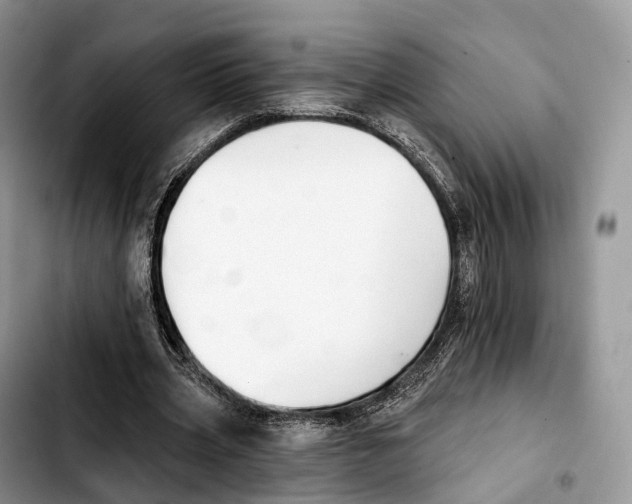 X0000103950533200810101440