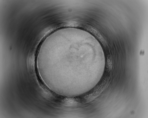 X0000103950534200810101440