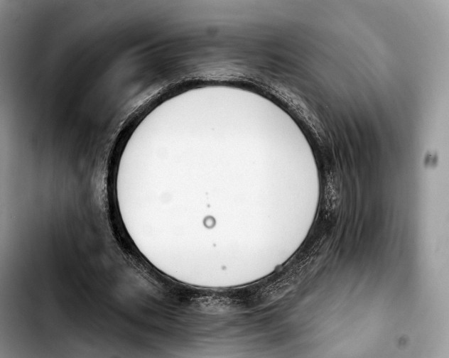 X0000103950535200810101440