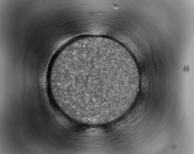 X0000103950536200810101440