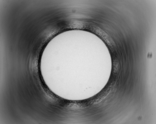 X0000103950538200810101440