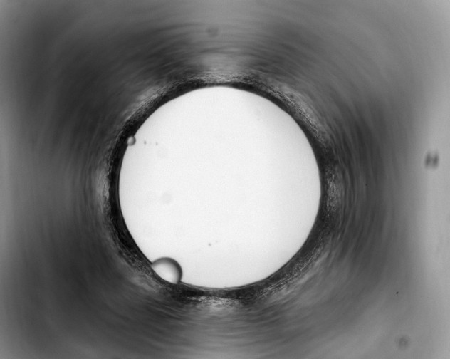 X0000103950539200810101440