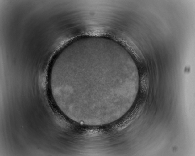 X0000103950540200810101440