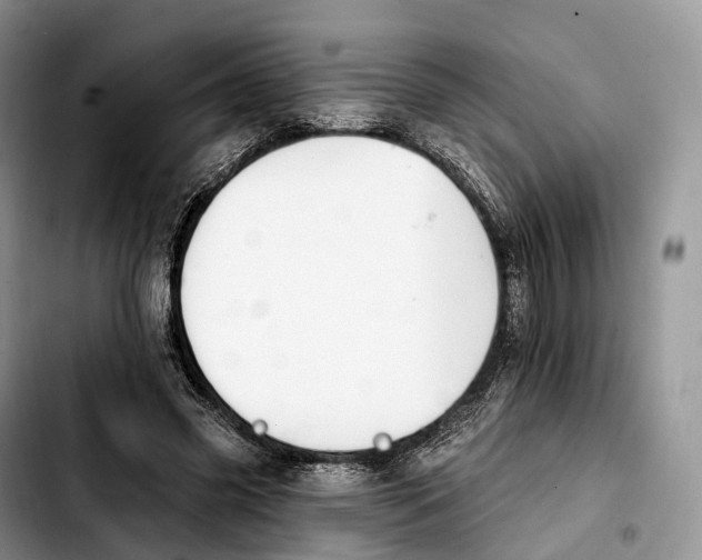 X0000103950541200810101440