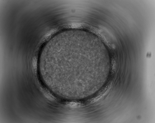 X0000103950542200810101440