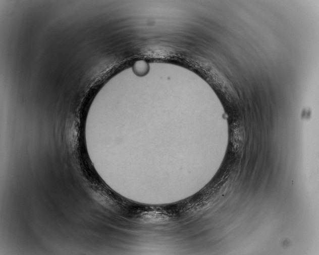 X0000103950544200810101440