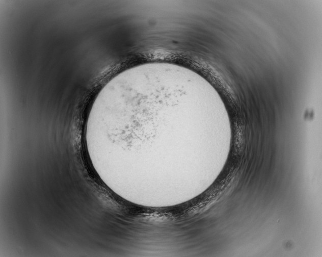 X0000103950545200810101440