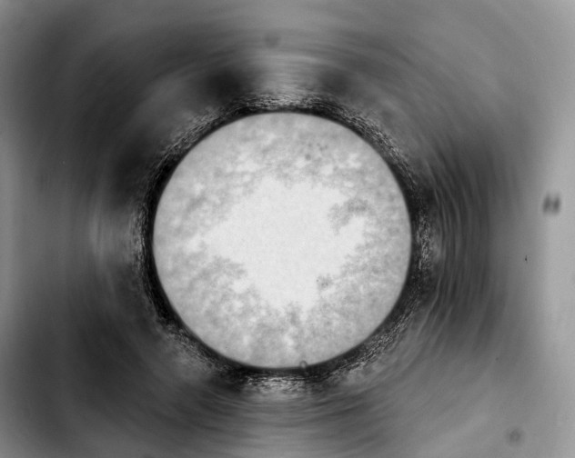 X0000103950546200810101440