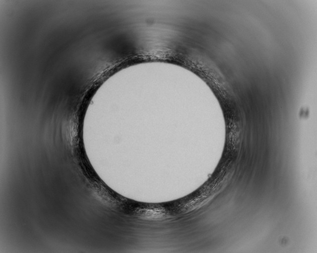 X0000103950548200810101440