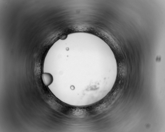 X0000103950549200810101440